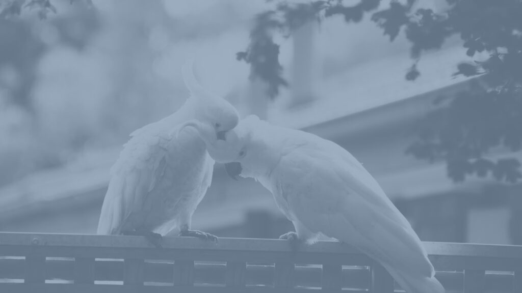 Fyra misstag att undvika i ditt kundnöjdhetsarbete