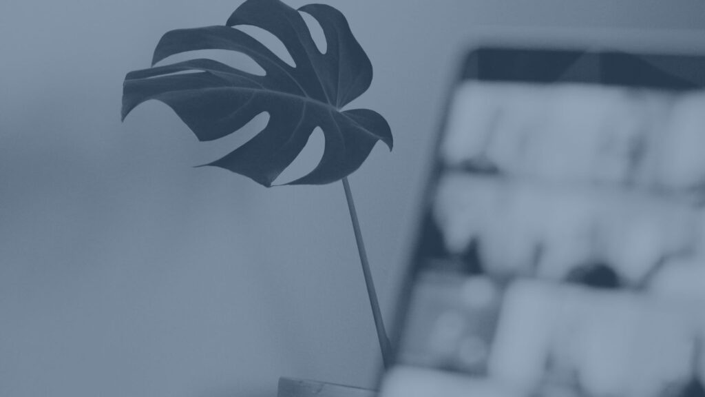 Vad kostar en Research Review, och är det värt pengarna?